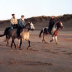 cheval_koksijde_750p